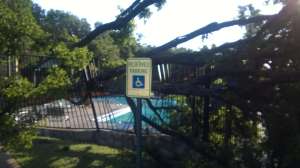 Fallen Tree at Lakewood HOA